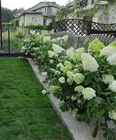 Firma usługowa "Kosiarz"